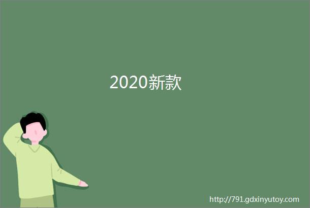 2020新款