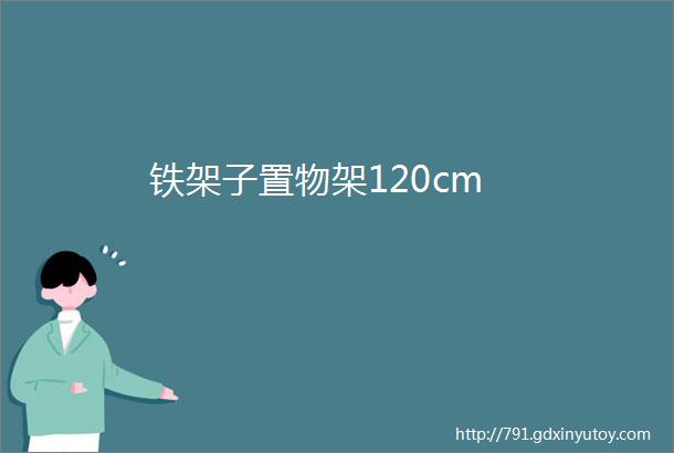 铁架子置物架120cm