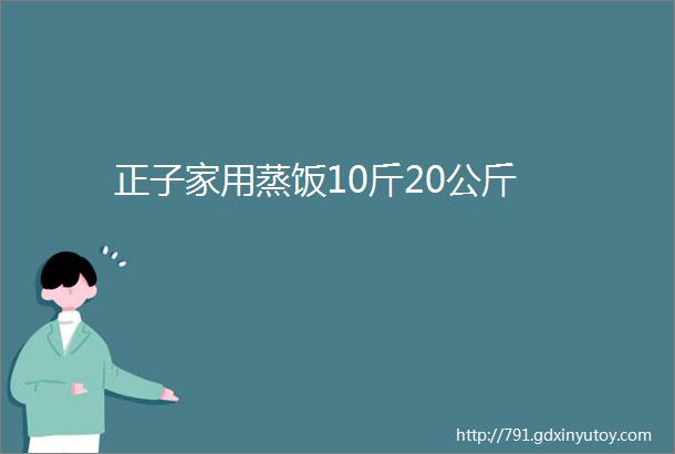 正子家用蒸饭10斤20公斤