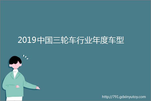 2019中国三轮车行业年度车型