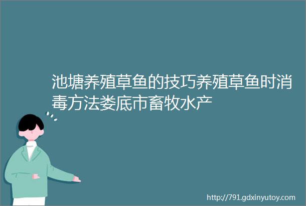 池塘养殖草鱼的技巧养殖草鱼时消毒方法娄底市畜牧水产