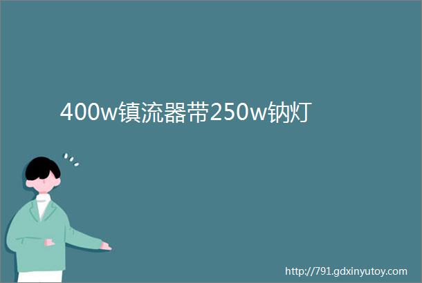 400w镇流器带250w钠灯