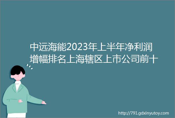 中远海能2023年上半年净利润增幅排名上海辖区上市公司前十