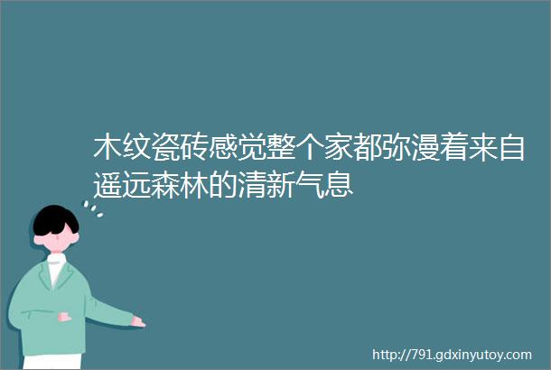 木纹瓷砖感觉整个家都弥漫着来自遥远森林的清新气息