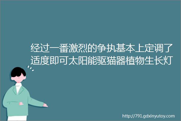 经过一番激烈的争执基本上定调了适度即可太阳能驱猫器植物生长灯专利除甲醛8类万兆网线连发电动玩具枪美发剪刀套装等等